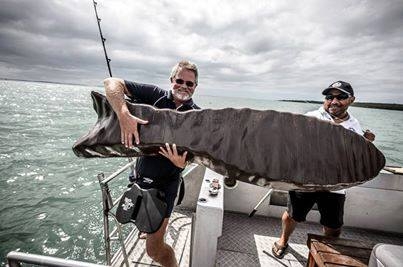 cadbury_chololate_fishing_auckland