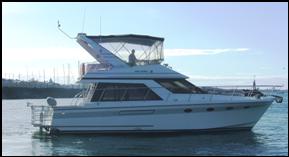 corporate fishing charters Auckland city