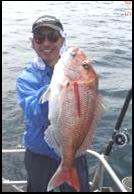 snapper-fishing-in-auckland-city-is-wonderfull
