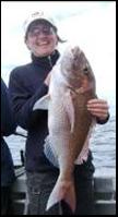 aucklands-huaraki-gulf-has-the-best-snapper-fishing-in-new-zealand