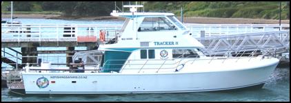 Tracker-II-is-Aucklands-biggest-fishing-charter-boat