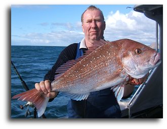 Auckland fishing trip