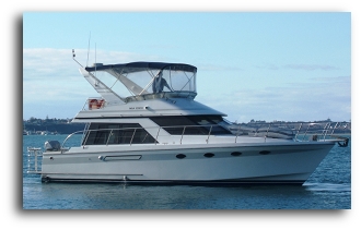 NZ Fishing Charters